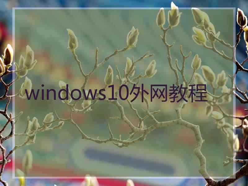 windows10外网教程