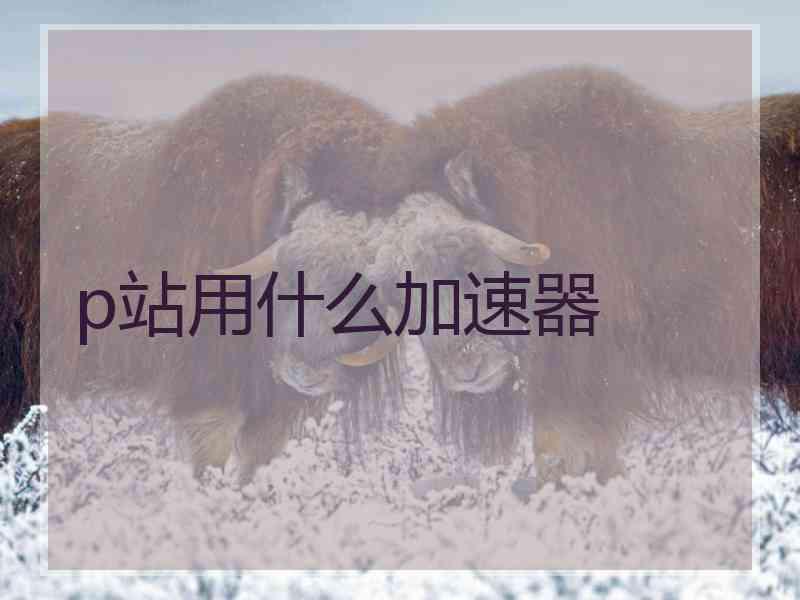 p站用什么加速器