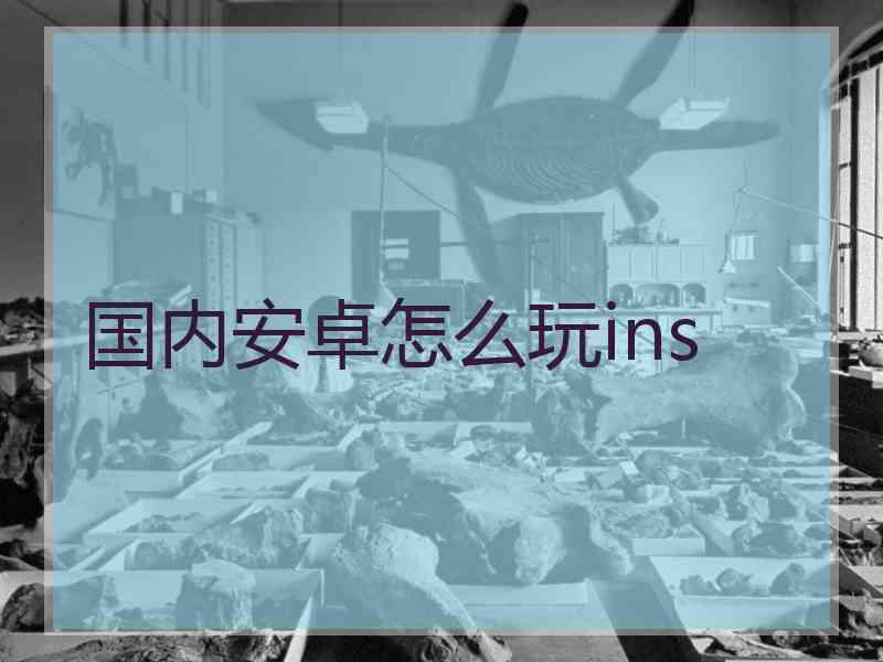 国内安卓怎么玩ins