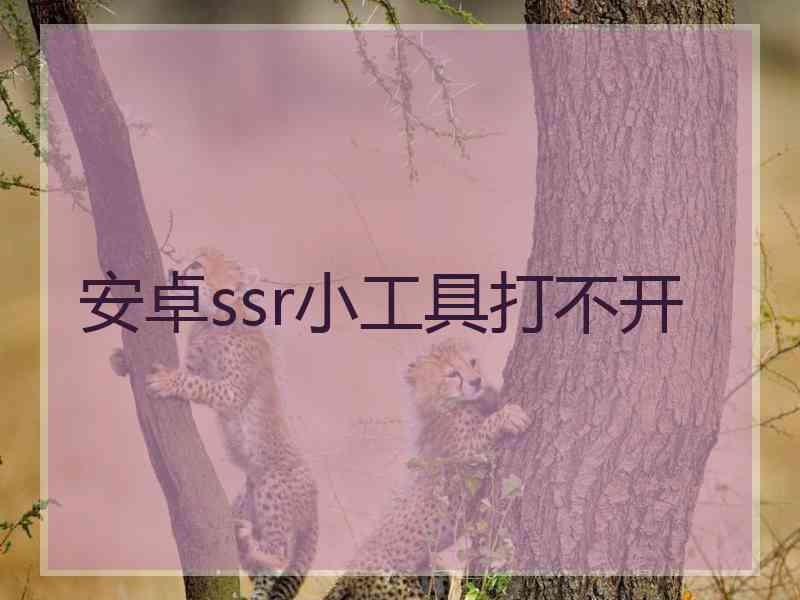 安卓ssr小工具打不开