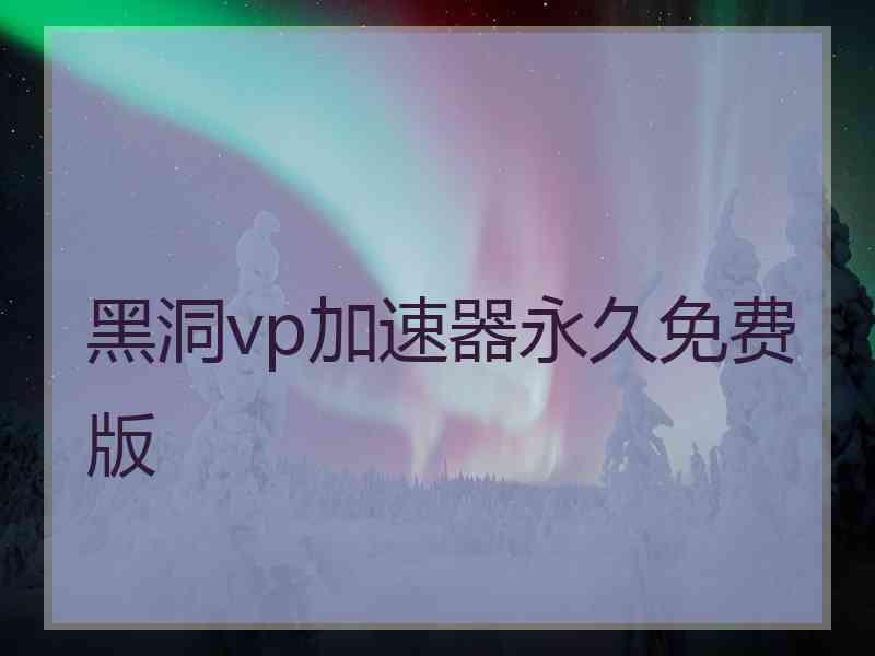 黑洞vp加速器永久免费版