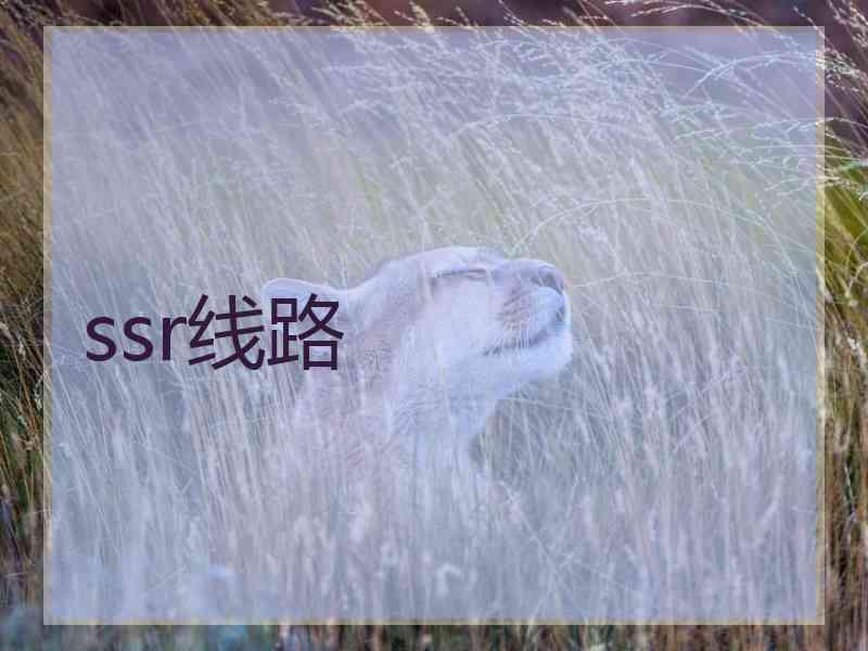 ssr线路