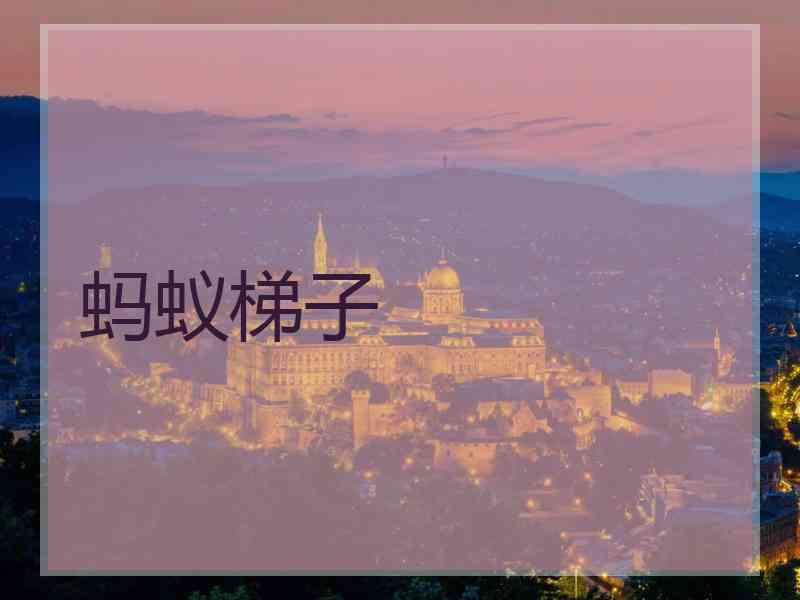 蚂蚁梯子