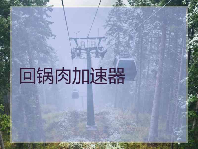 回锅肉加速器