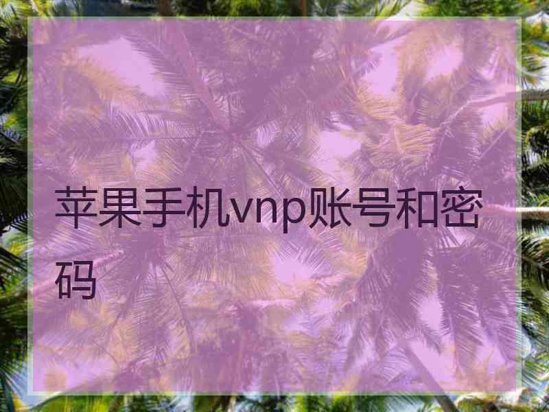 苹果手机vnp账号和密码