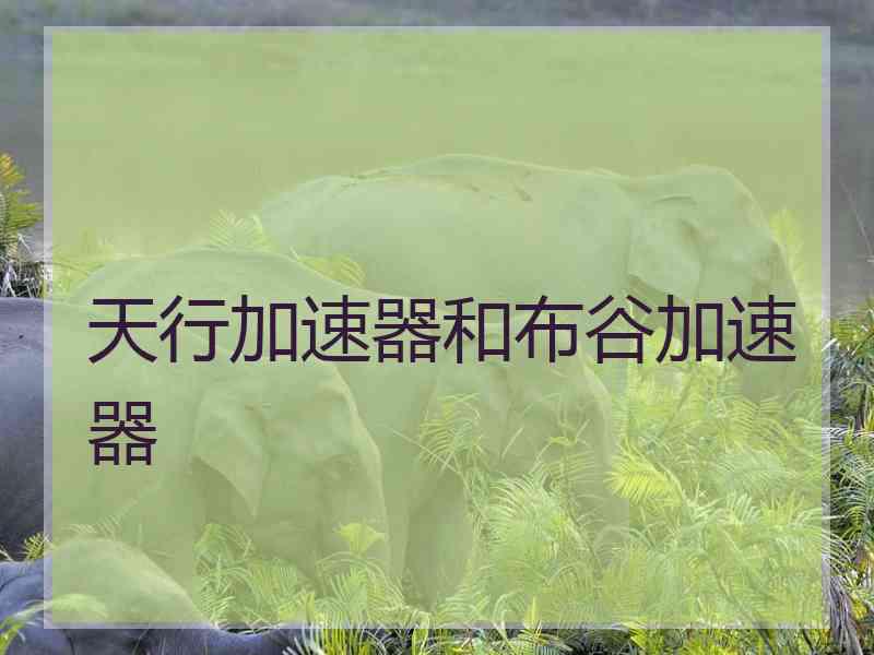 天行加速器和布谷加速器