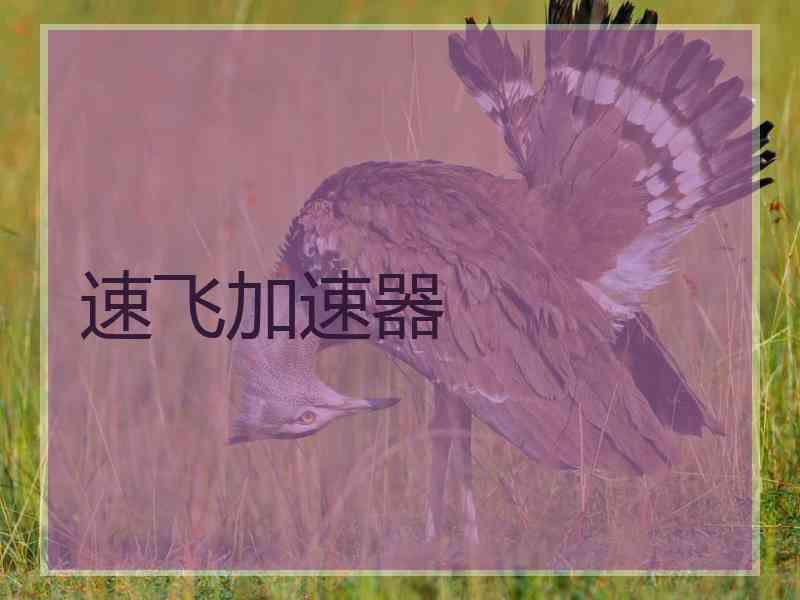 速飞加速器
