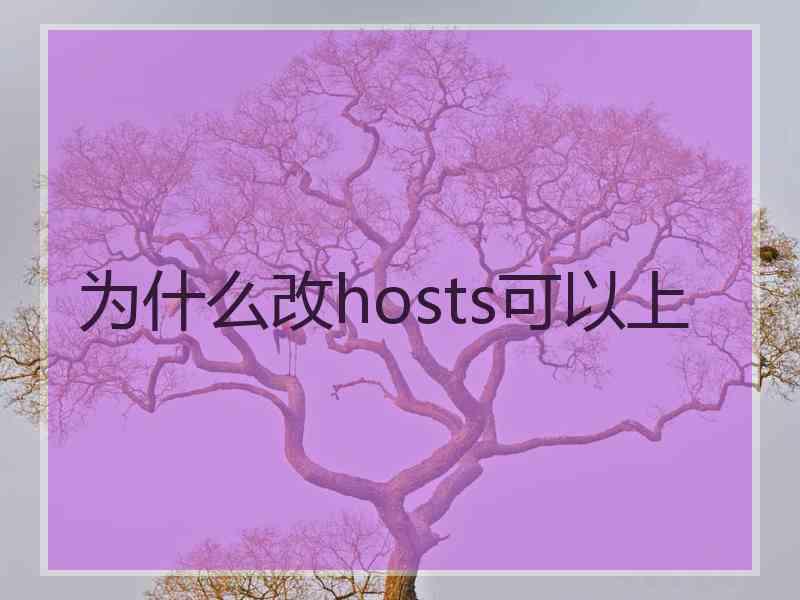 为什么改hosts可以上