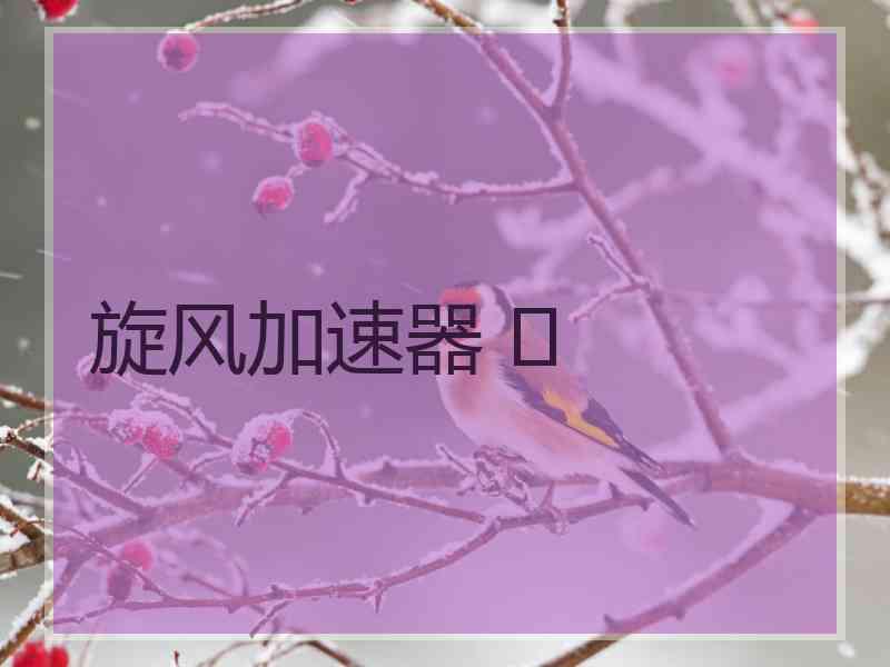 旋风加速器 	