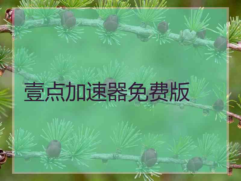 壹点加速器免费版