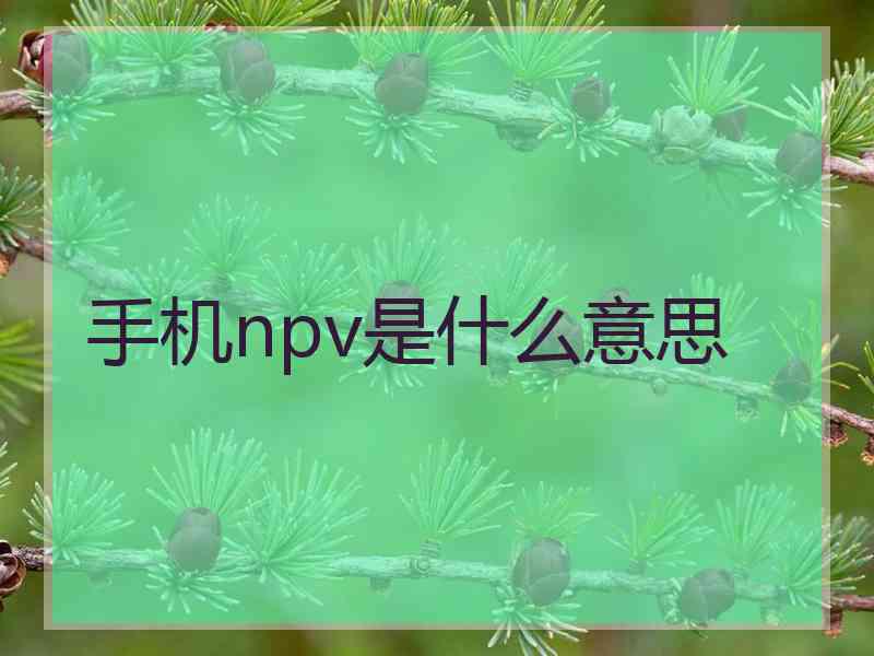 手机npv是什么意思