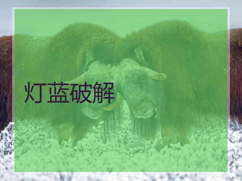 灯蓝破解