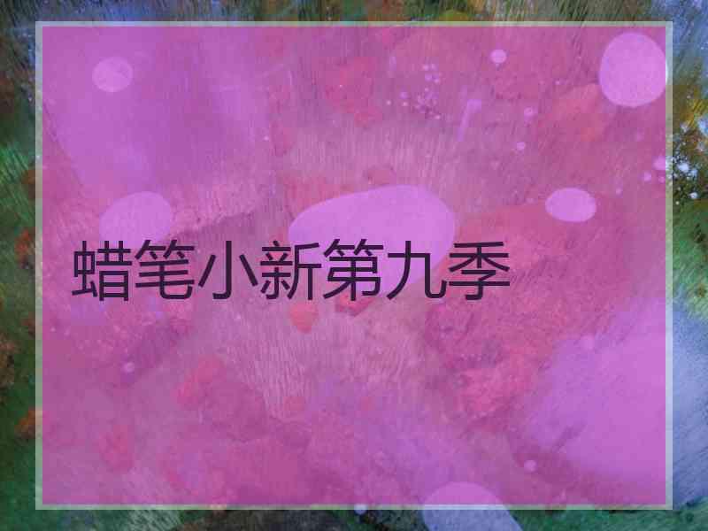 蜡笔小新第九季