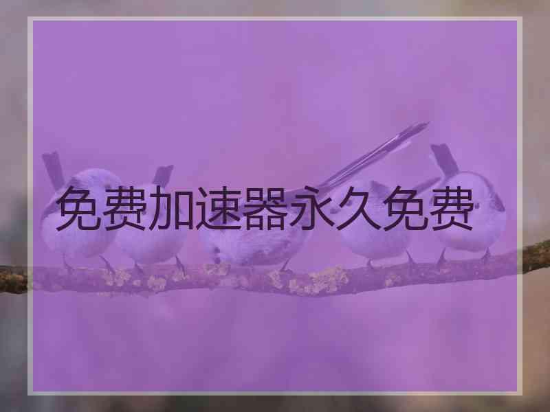 免费加速器永久免费