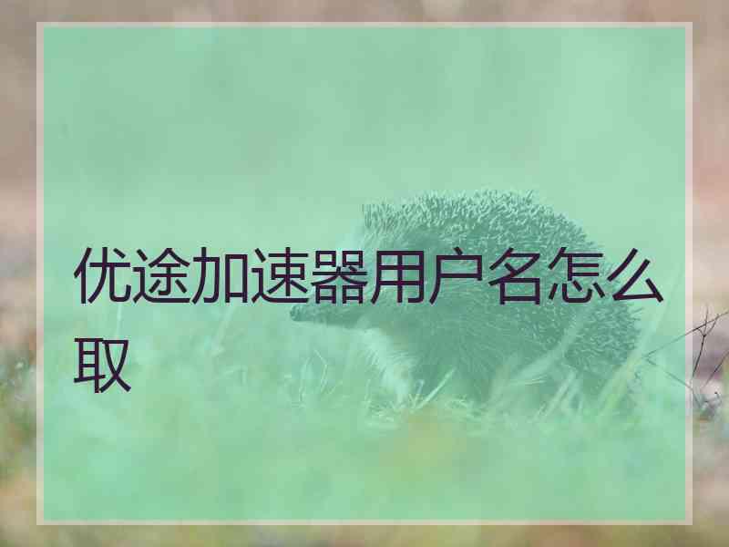 优途加速器用户名怎么取