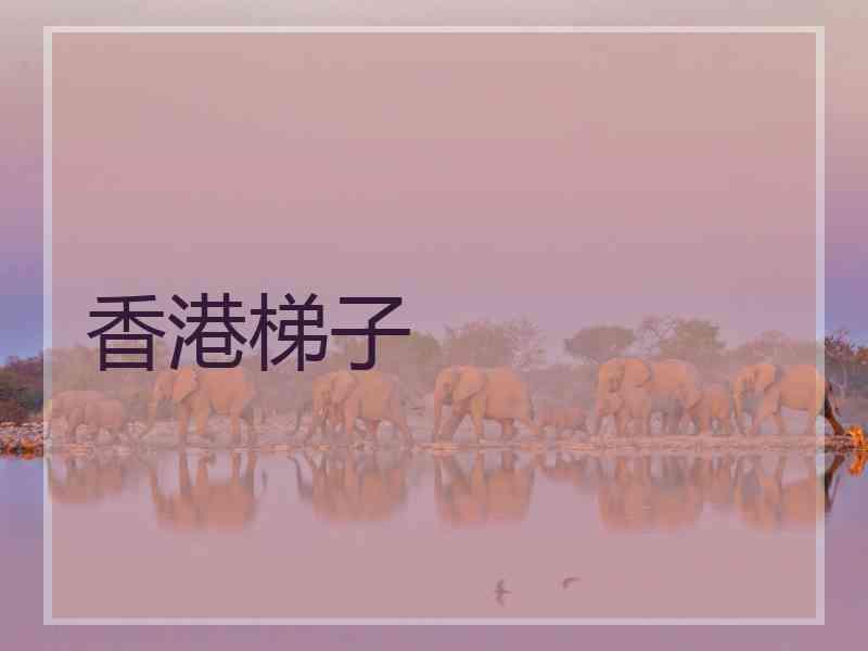 香港梯子