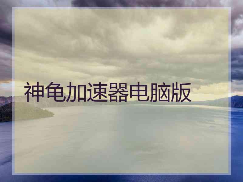 神龟加速器电脑版