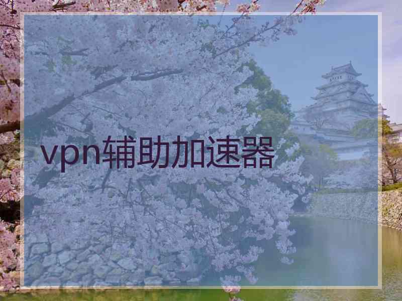 vpn辅助加速器
