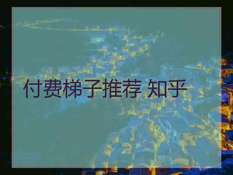 付费梯子推荐 知乎