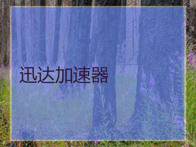 迅达加速器