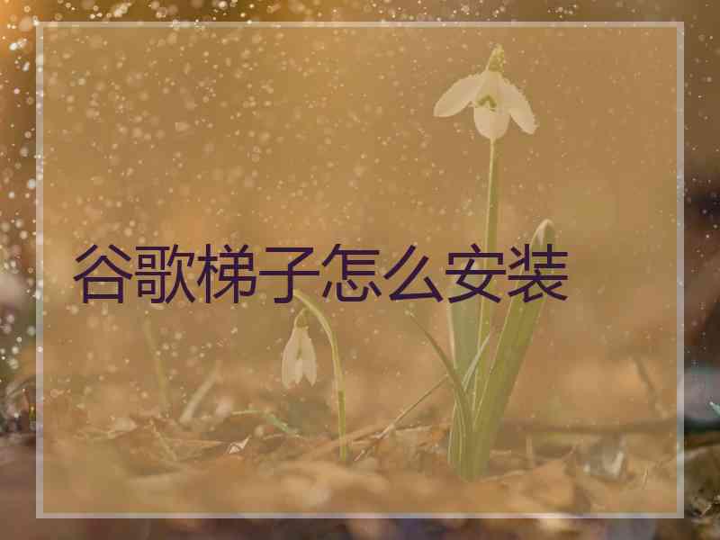 谷歌梯子怎么安装