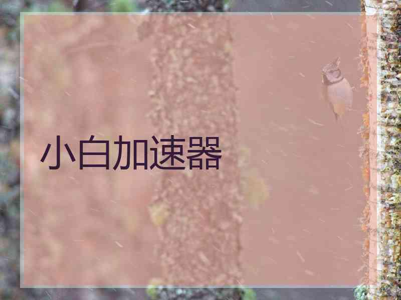 小白加速器