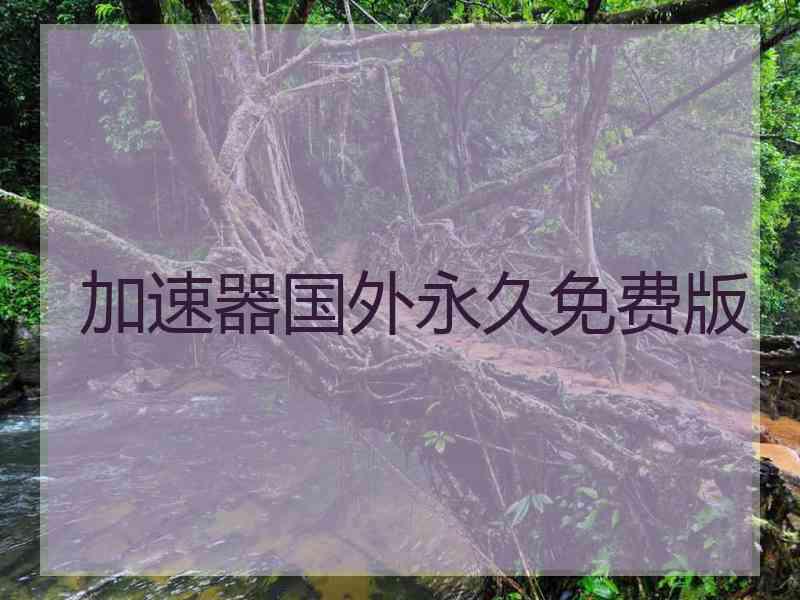 加速器国外永久免费版