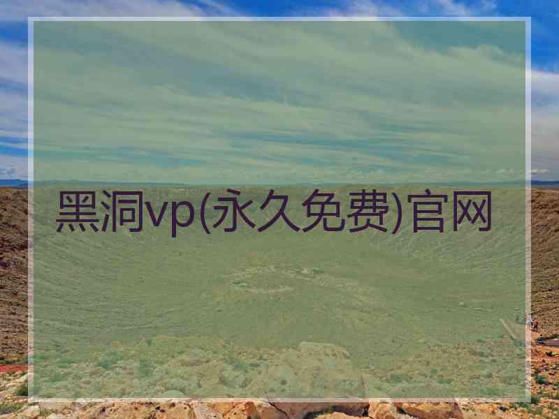 黑洞vp(永久免费)官网