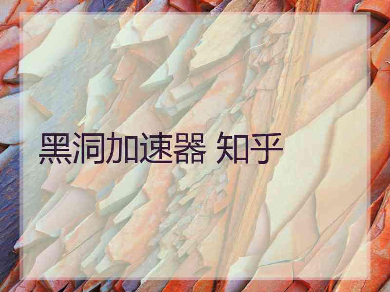 黑洞加速器 知乎