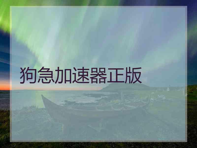 狗急加速器正版