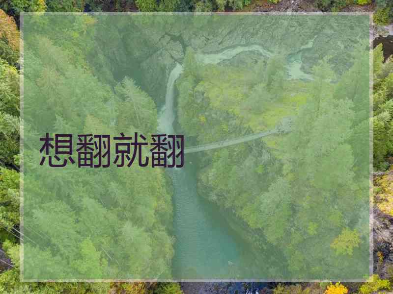 想翻就翻