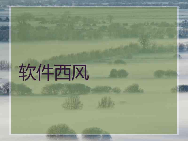 软件西风