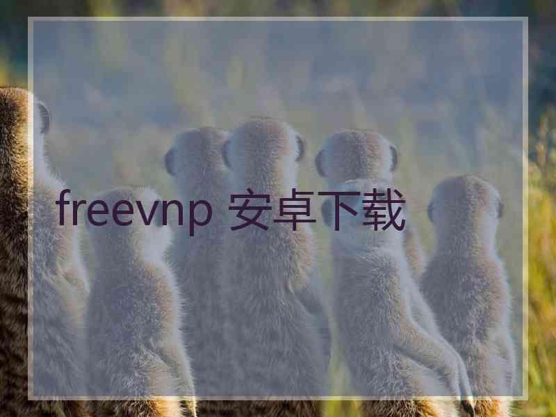 freevnp 安卓下载