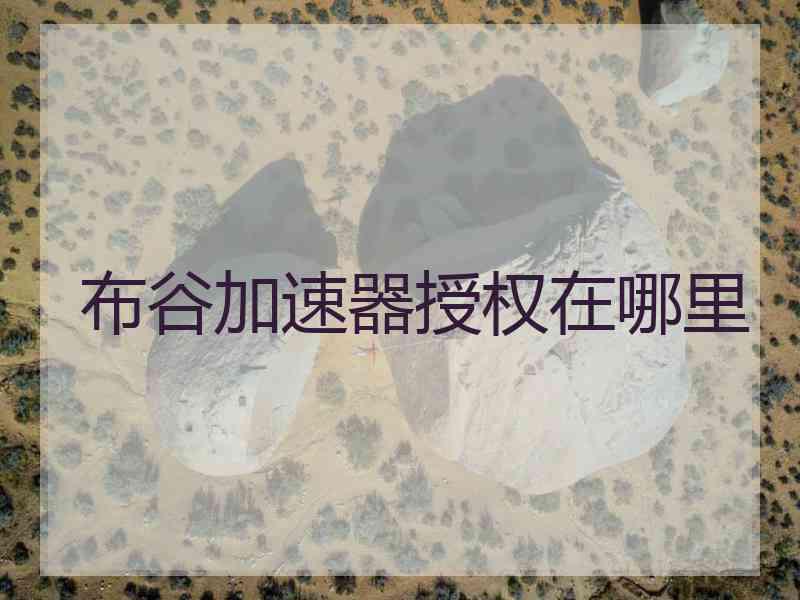 布谷加速器授权在哪里