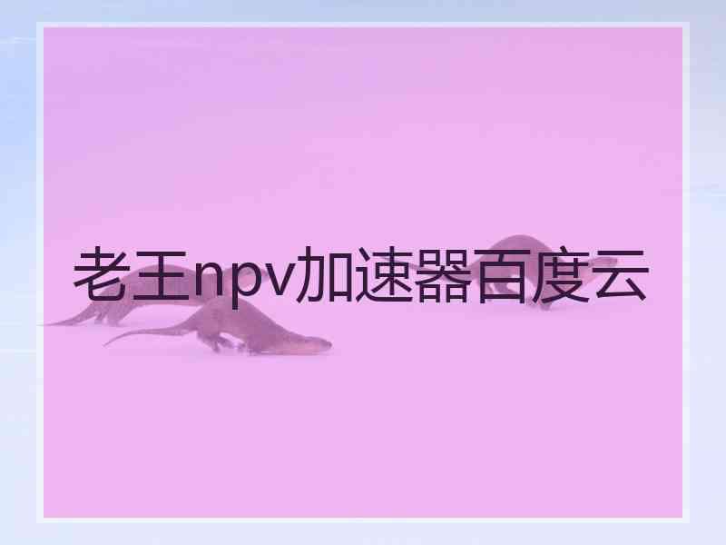 老王npv加速器百度云