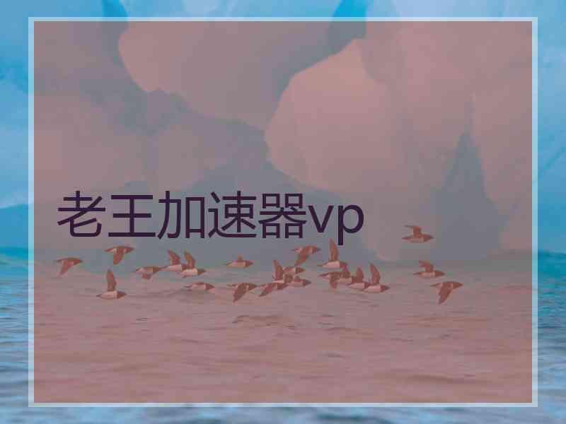 老王加速器vp
