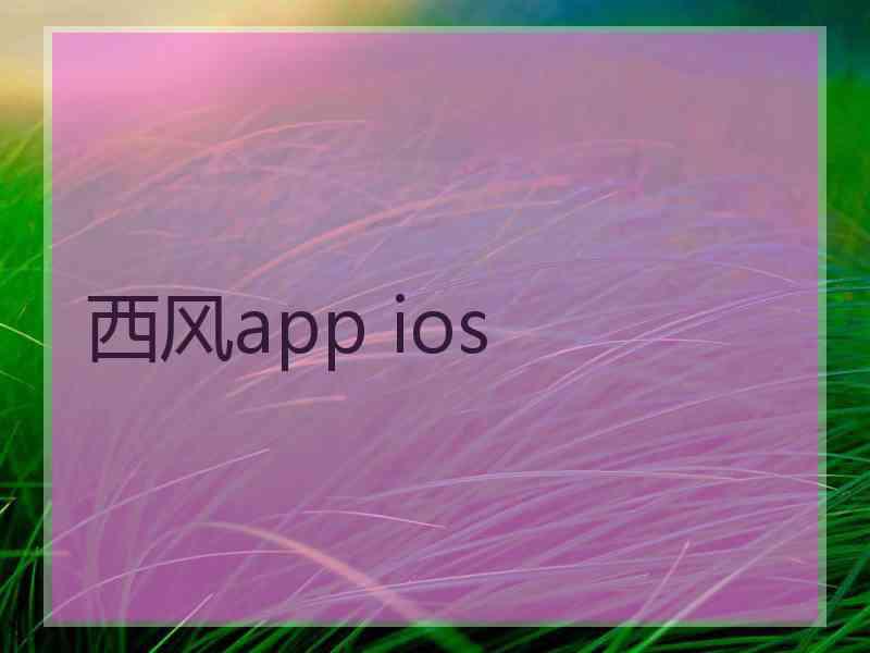 西风app ios