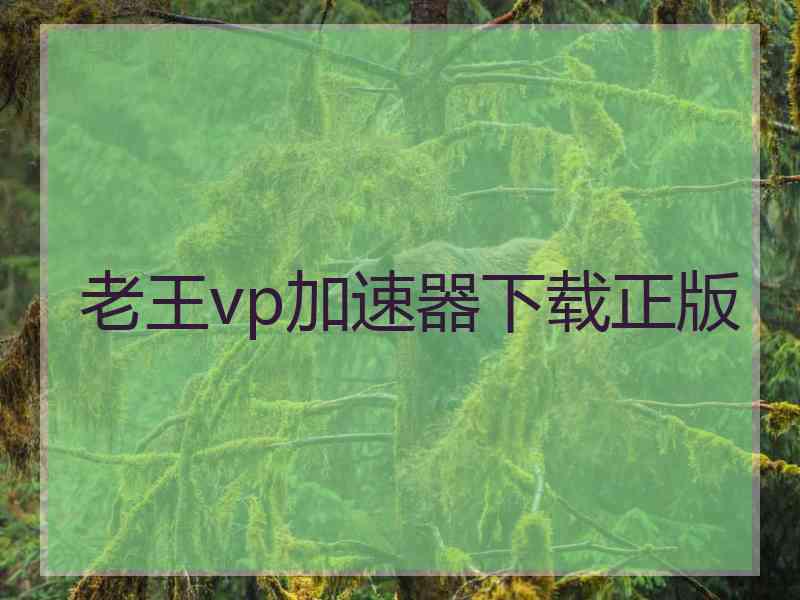 老王vp加速器下载正版