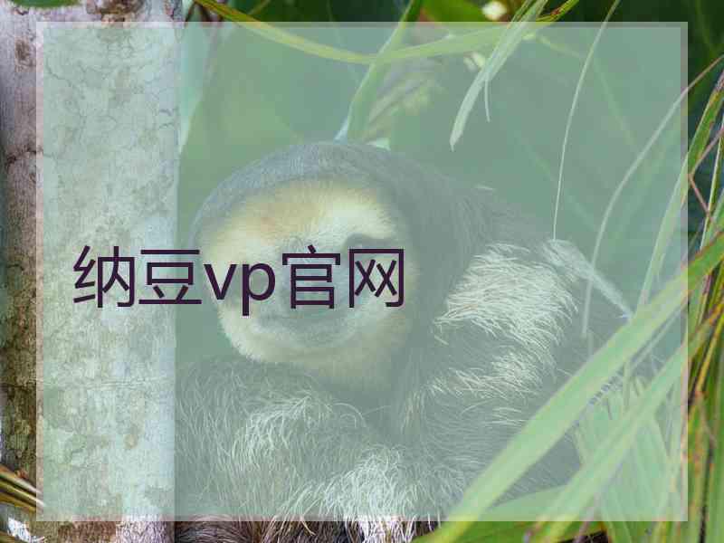 纳豆vp官网