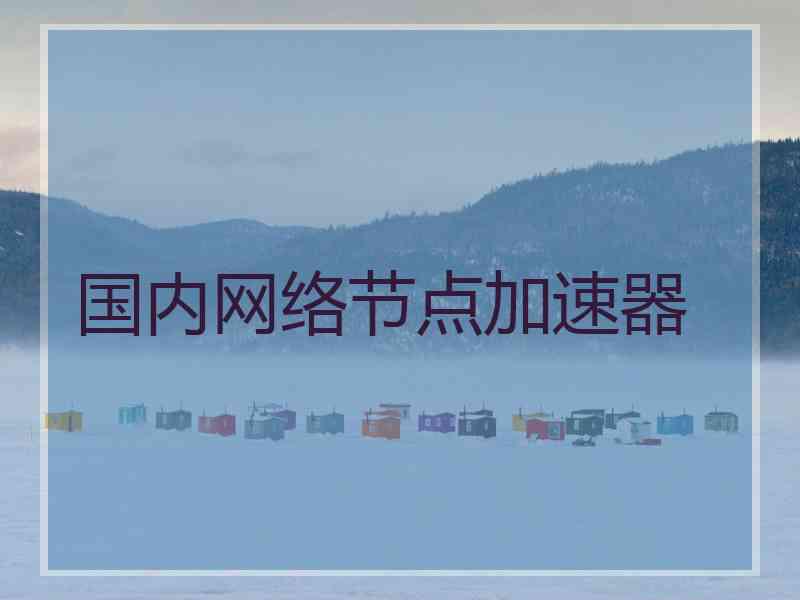 国内网络节点加速器