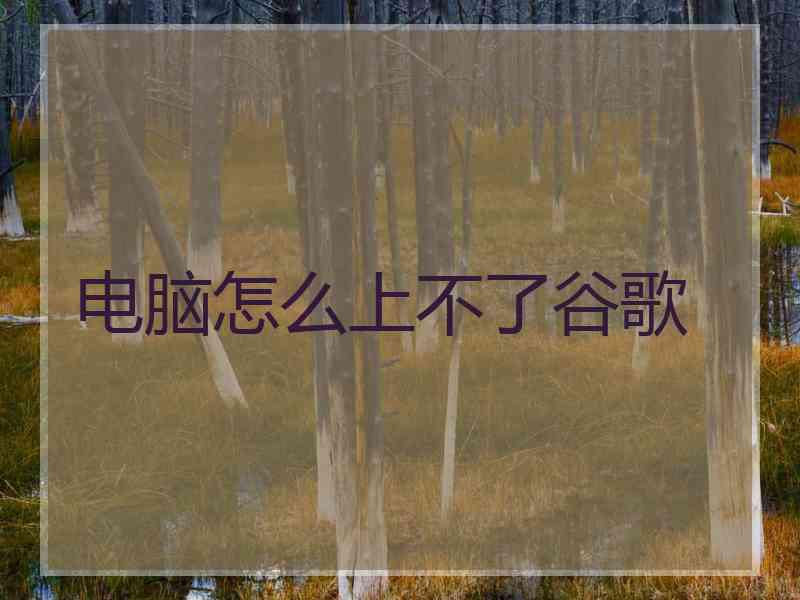 电脑怎么上不了谷歌
