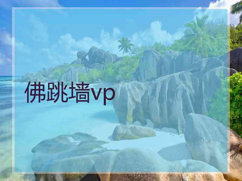 佛跳墙vp