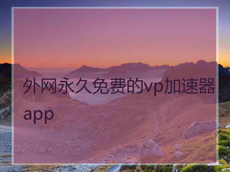 外网永久免费的vp加速器app