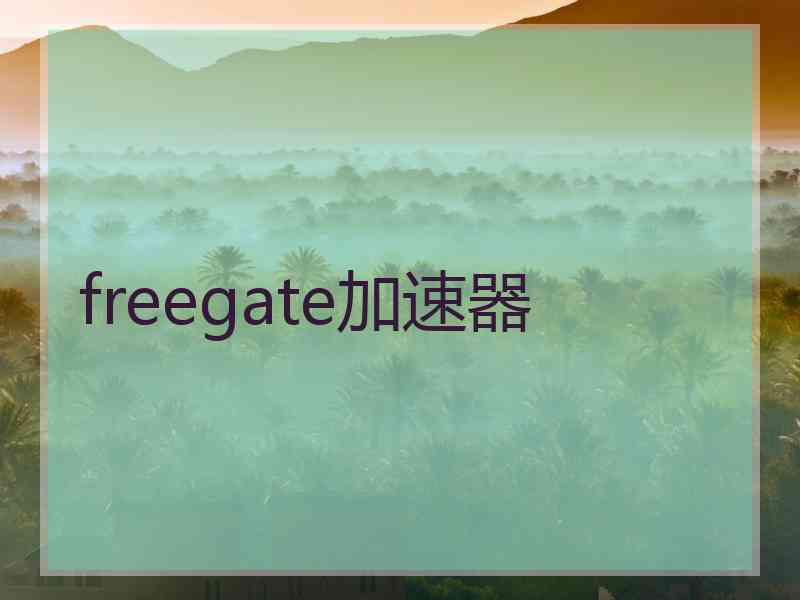 freegate加速器