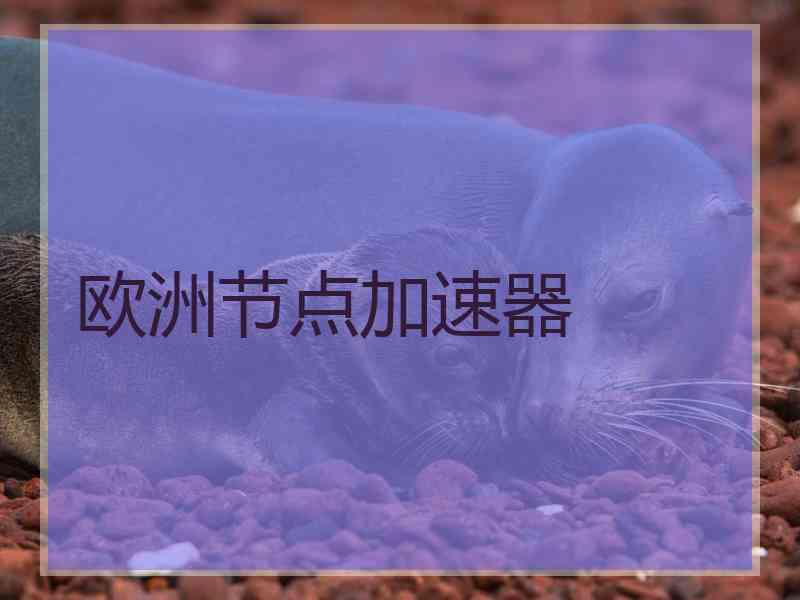 欧洲节点加速器