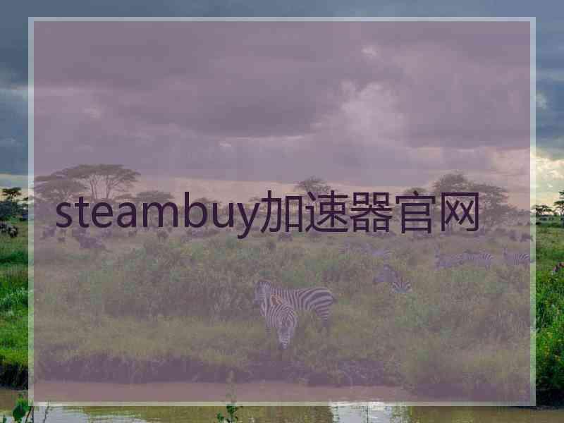 steambuy加速器官网