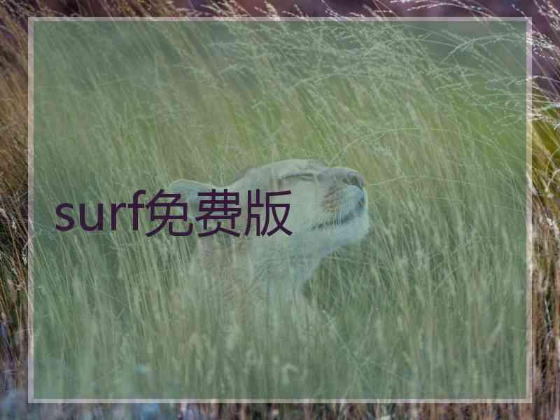 surf免费版
