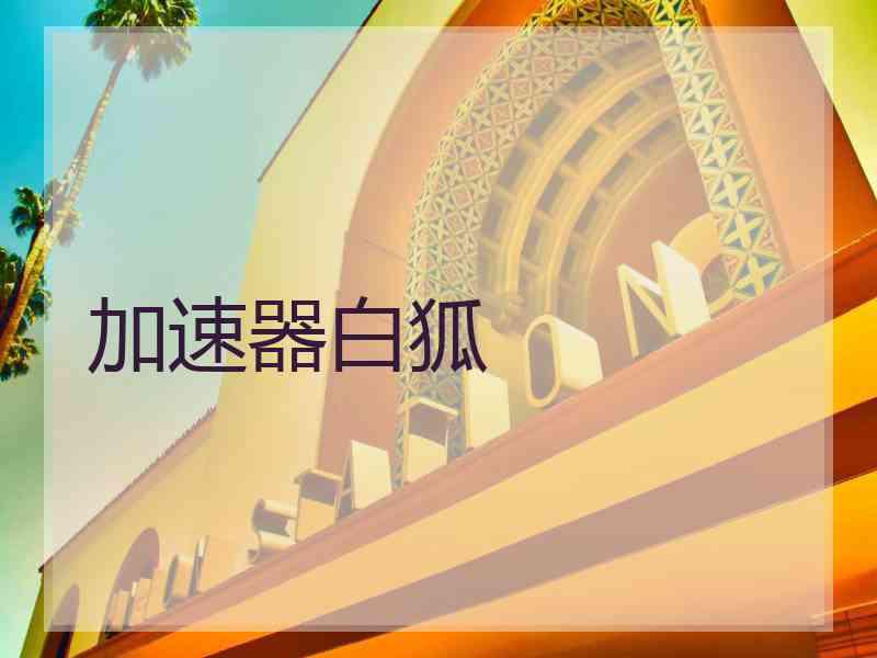 加速器白狐