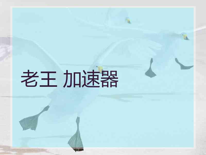 老王 加速器