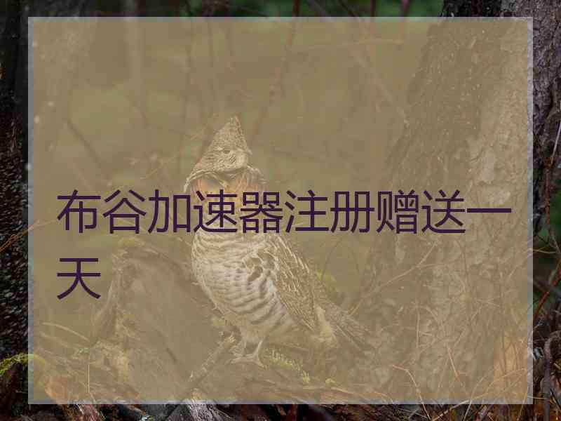布谷加速器注册赠送一天